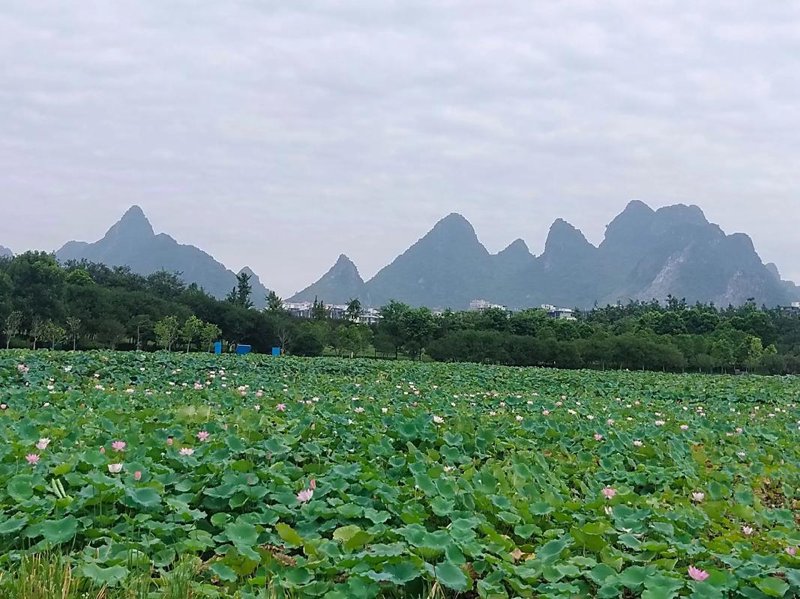 贺州健身：让城市活力焕发新颜
